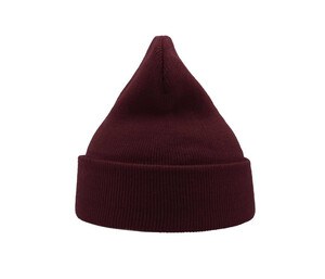 Atlantis AT010 - Evergreen Cuffed Beanie for Sports and Events